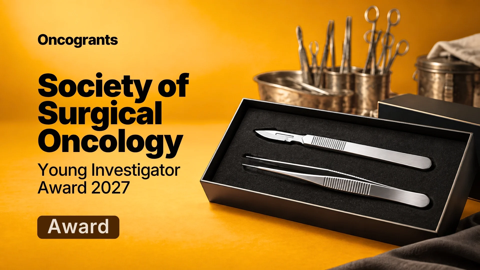 Young Investigator Award