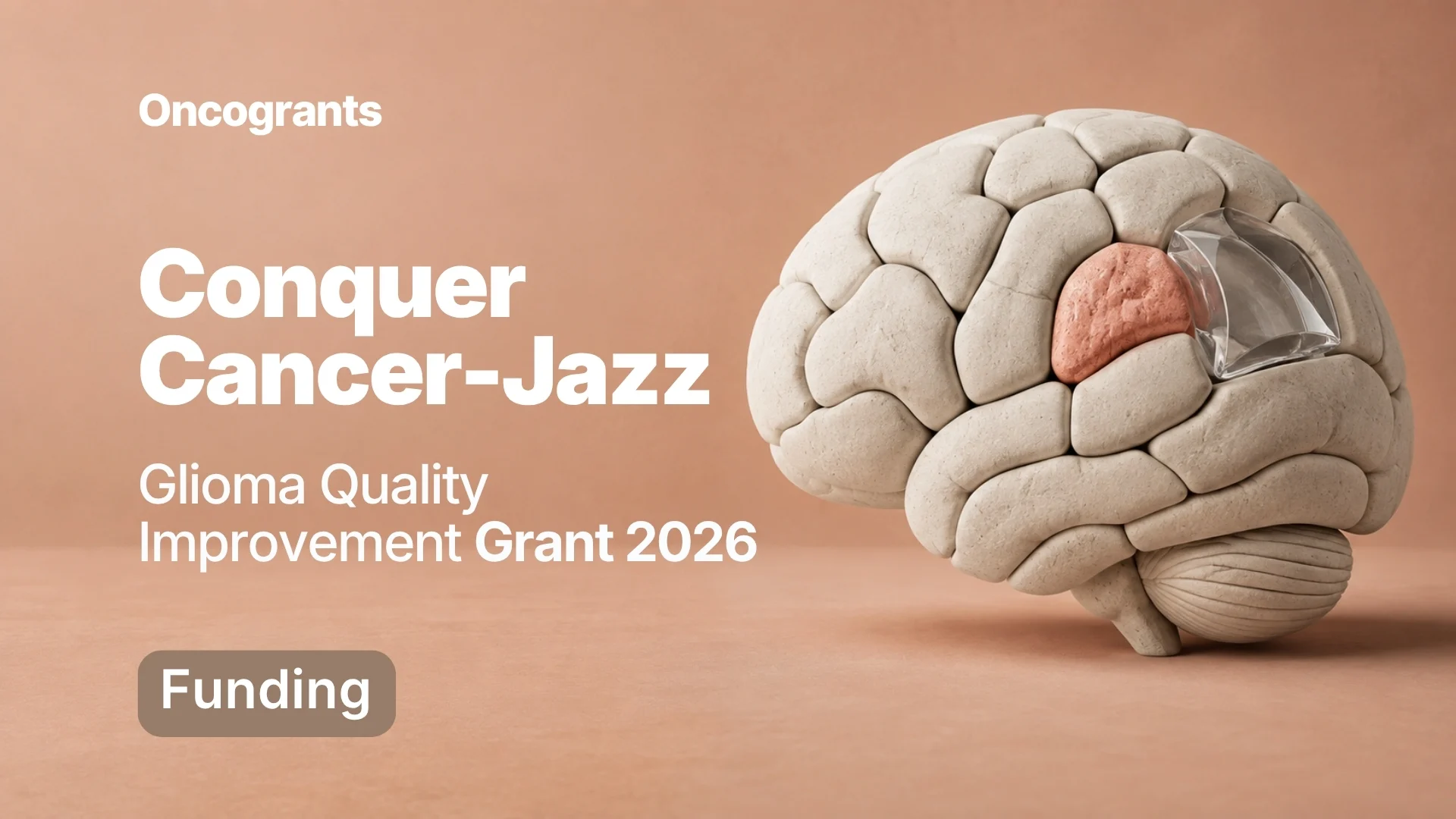 Glioma Quality Improvement