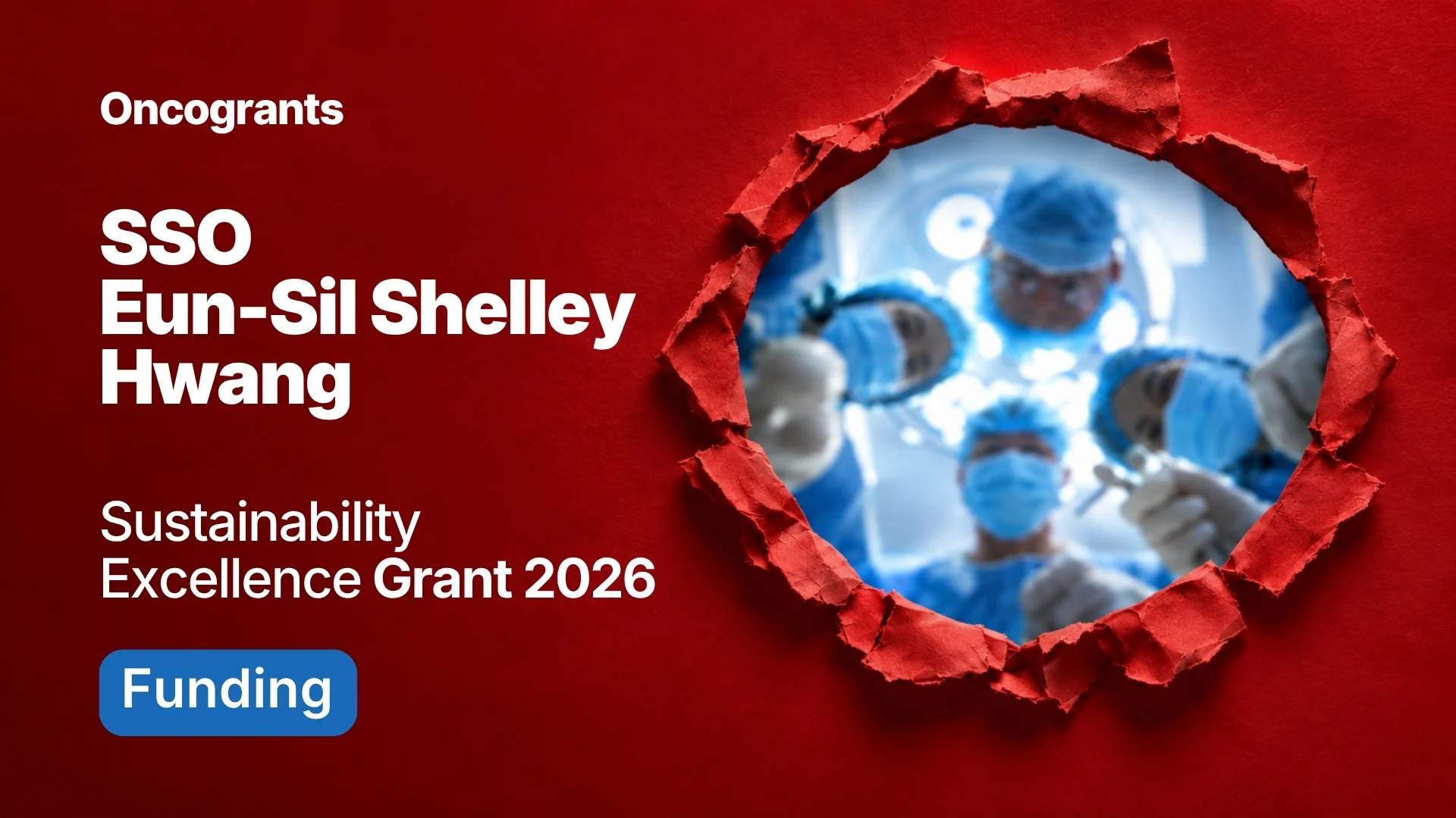 Sustainability Excellence Grant