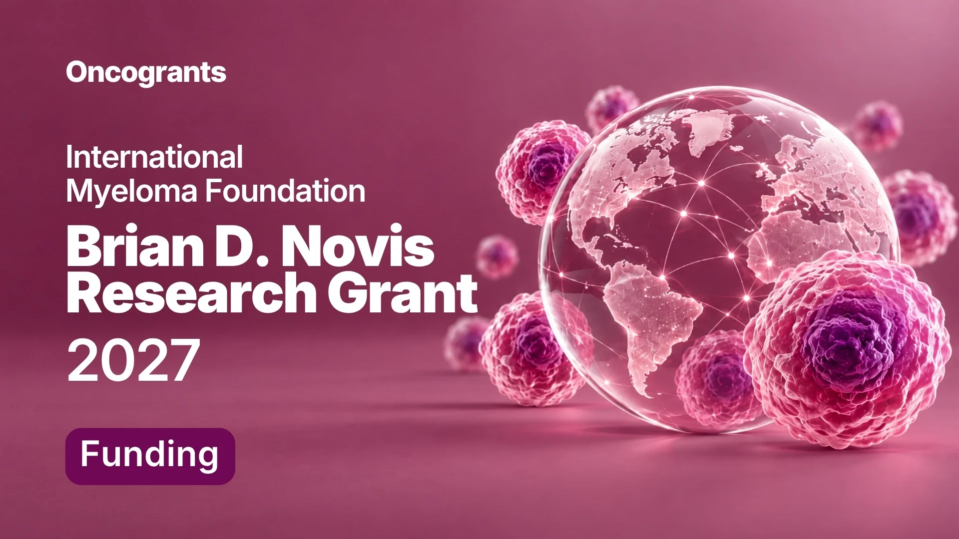 International Myeloma Foundation