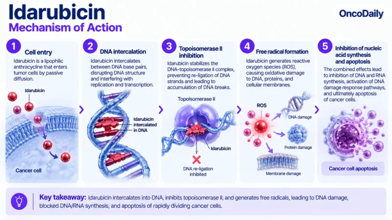 Idarubicin OncoDaily
