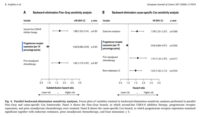 When Bone-Only HR+/HER2− Breast Cancer Turns Visceral: What PR Expression May Tell Us in the CDK4/6 Era 8 Bone-Only