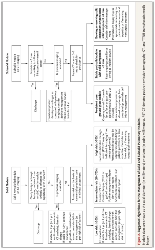 Pulmonary Nodules in 2026: A Risk-Based Approach to Surveillance, Biopsy, and Definitive Treatment 6 Pulmonary Nodules