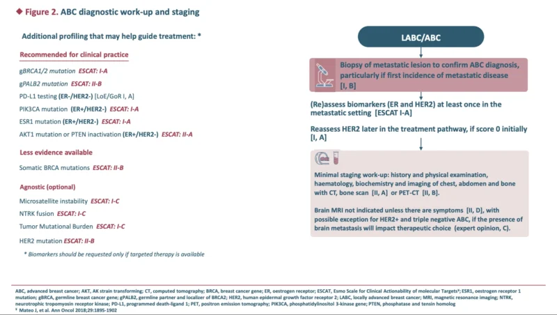 ABC8 Guidelines Accepted for Publication: A More Molecular, Sequential, and Patient-Centered Framework for Advanced Breast Cancer 3 ABC8 Guidelines