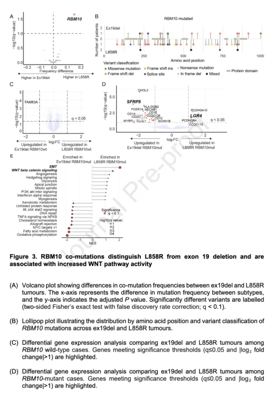 EGFR-Mutant Lung Adenocarcinoma