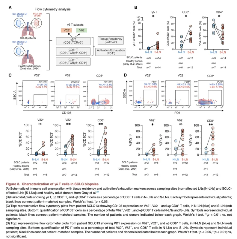 γδ T Cells Reveal an MHC-Independent Immune Vulnerability in Small Cell Lung Cancer 4 γδ T Cells