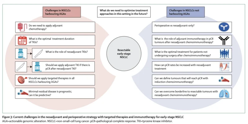Early-Stage NSCLC in 2026: From Treatment Intensification to Precision-Guided Curative Strategies 4 Early-stage NSCLC