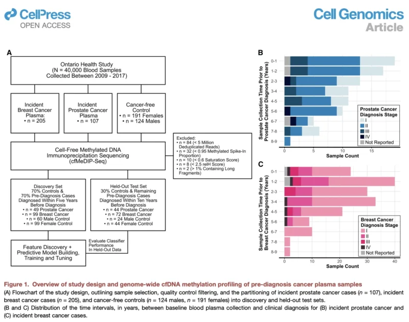 cfDNA Methylation
