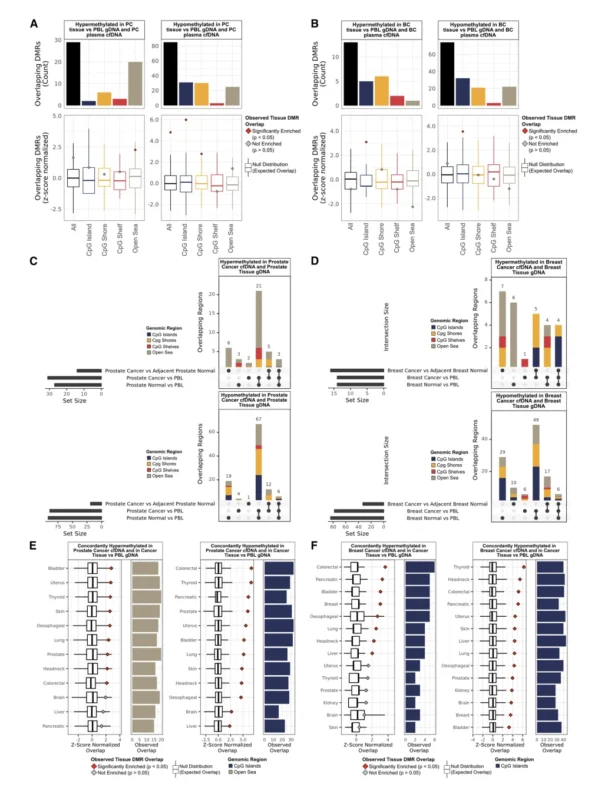 cfDNA Methylation