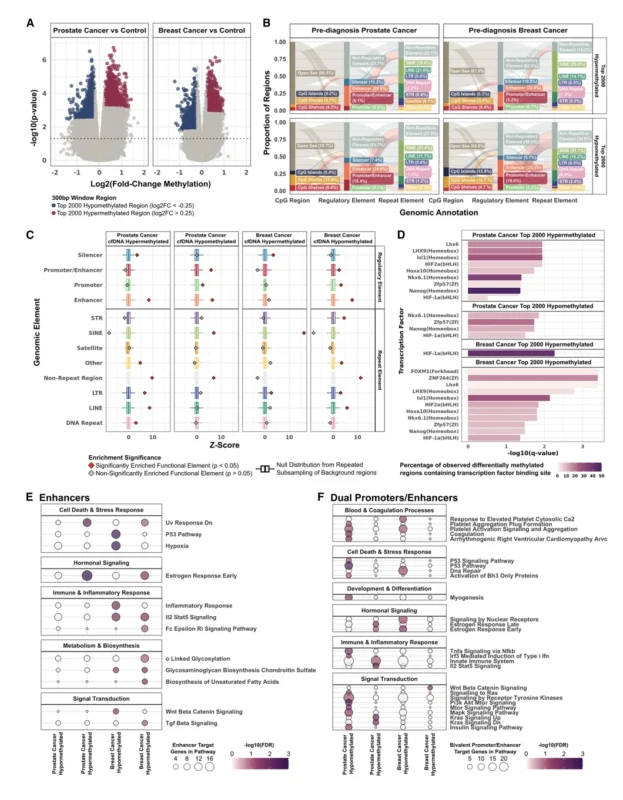 cfDNA Methylation