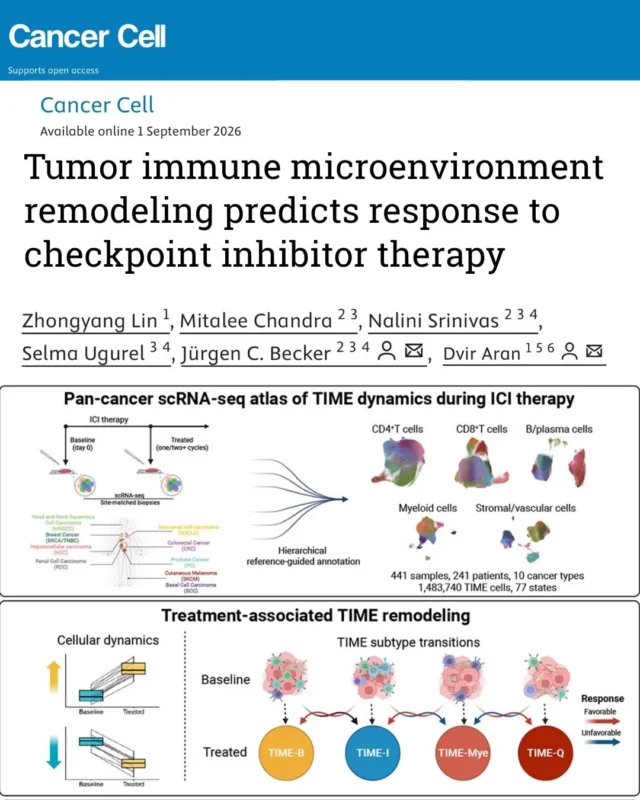 Lung Cancer Europe