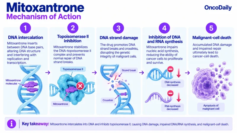 Mitoxantrone: Understanding Its Mechanism, Dosing, and Clinical Role in Leukemia and Prostate Cancer 9 Mitoxantrone OncoDaily