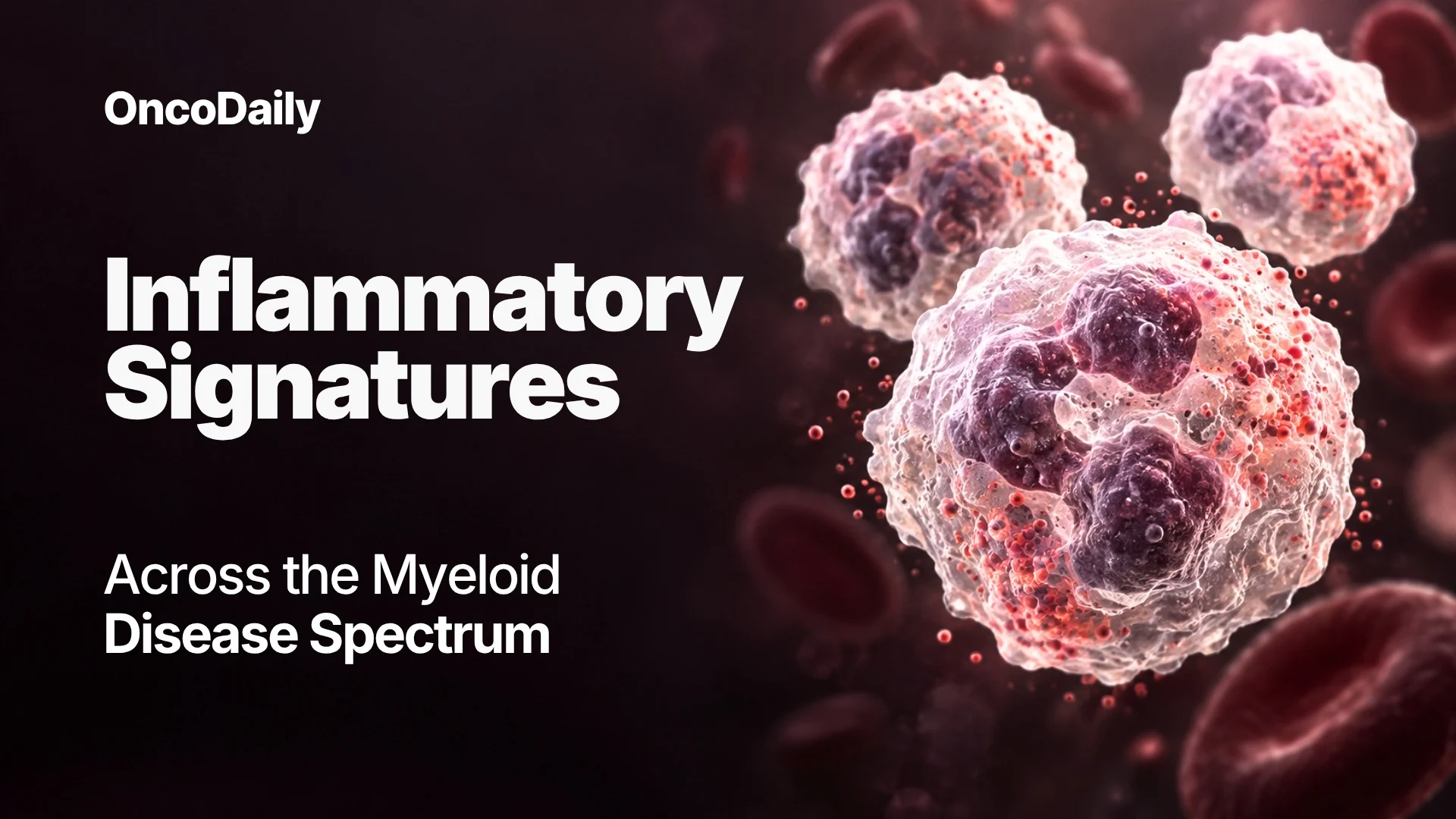 Inflammation Across the Myeloid Disease Spectrum