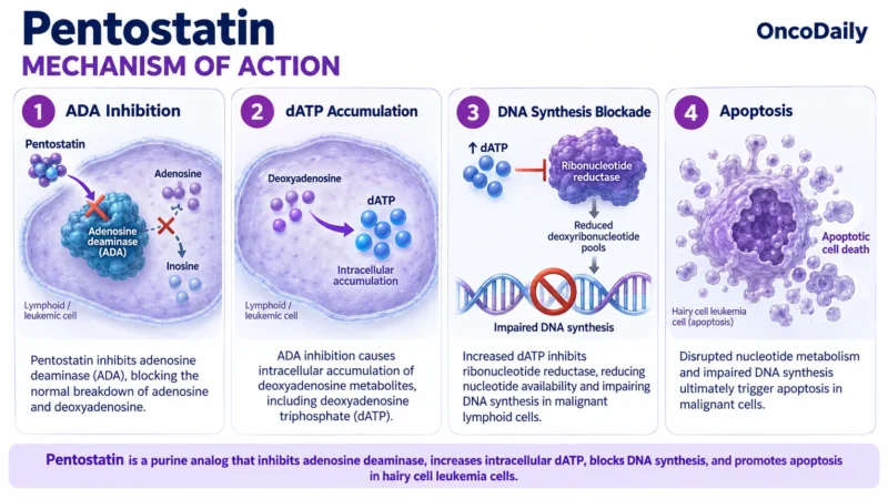 Pentostatin: Understanding Its Mechanism, Dosing, and Clinical Role in Leukemia 9 Pentostatin OncoDaily
