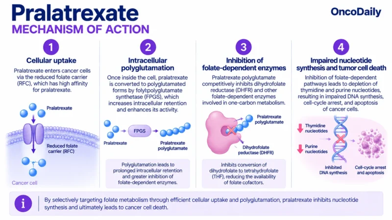 Pralatrexate: Understanding Its Mechanism, Dosing, and Clinical Role 17 Pralatrexate