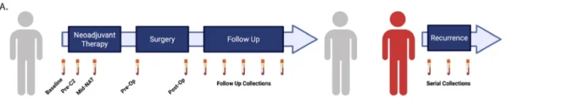 Kefah Mokbel: Longitudinal ctDNA Tracking in Early and Recurrent Breast Cancer 2 Kefah Mokbel