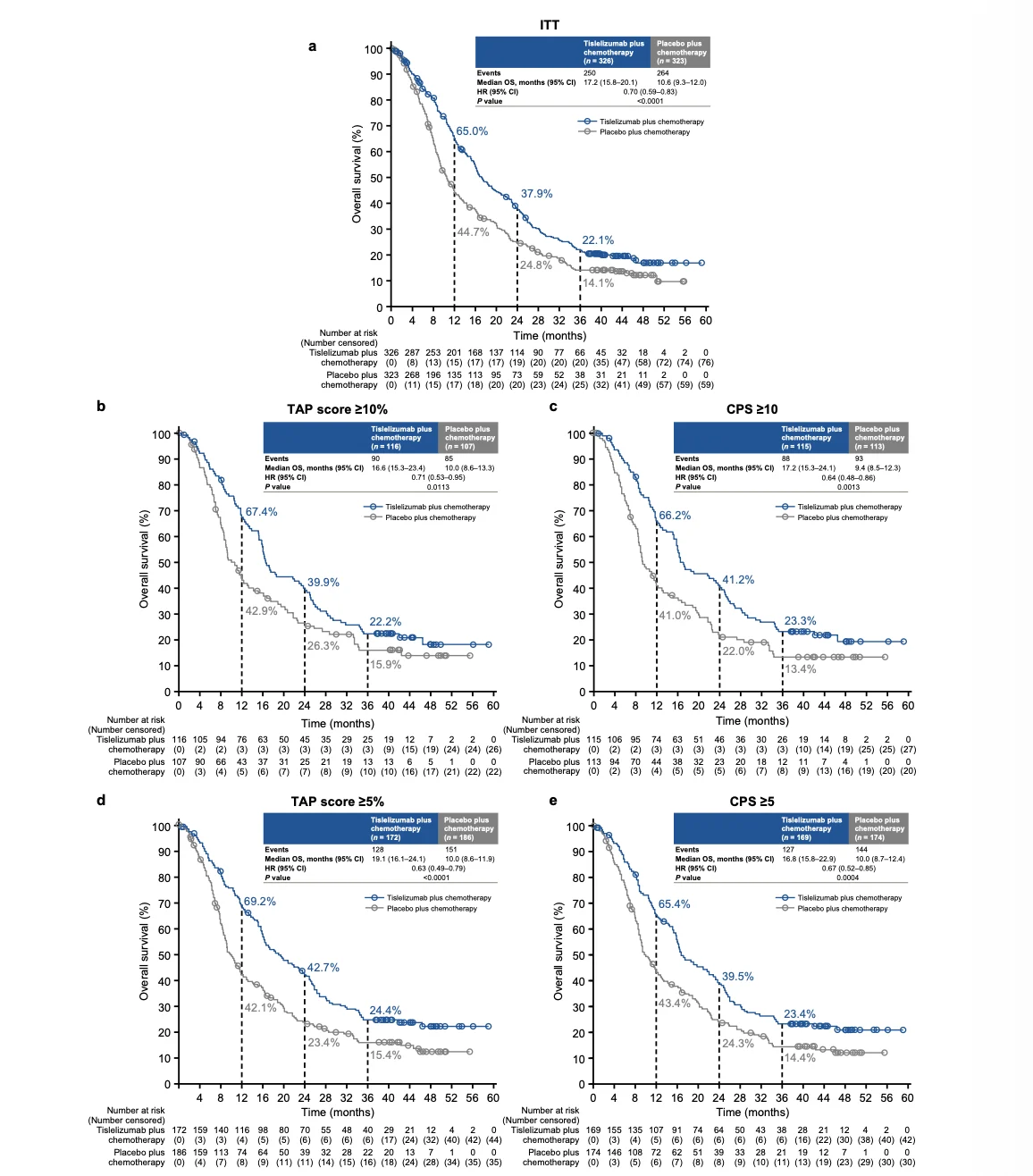 RATIONALE-306: Tislelizumab Plus Chemotherapy Shows Sustained 3-Year Survival Benefit in Advanced ESCC