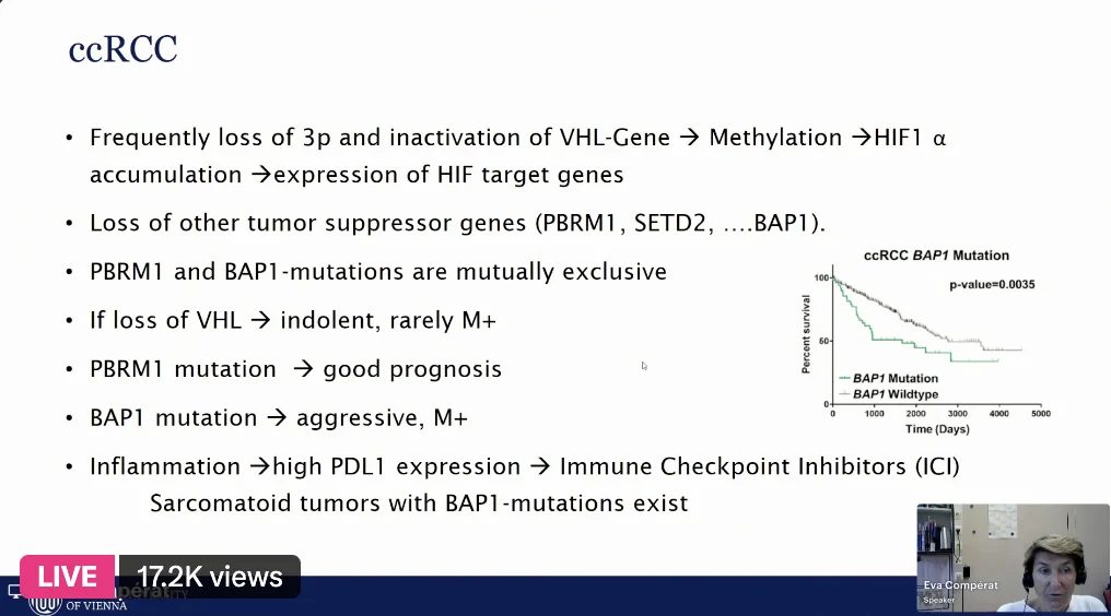 Highlights From VIRO 2026 – Global Voices in Renal Oncology, Day 1 9 Highlights From VIRO 2026 – Global Voices in Renal Oncology, Day 1