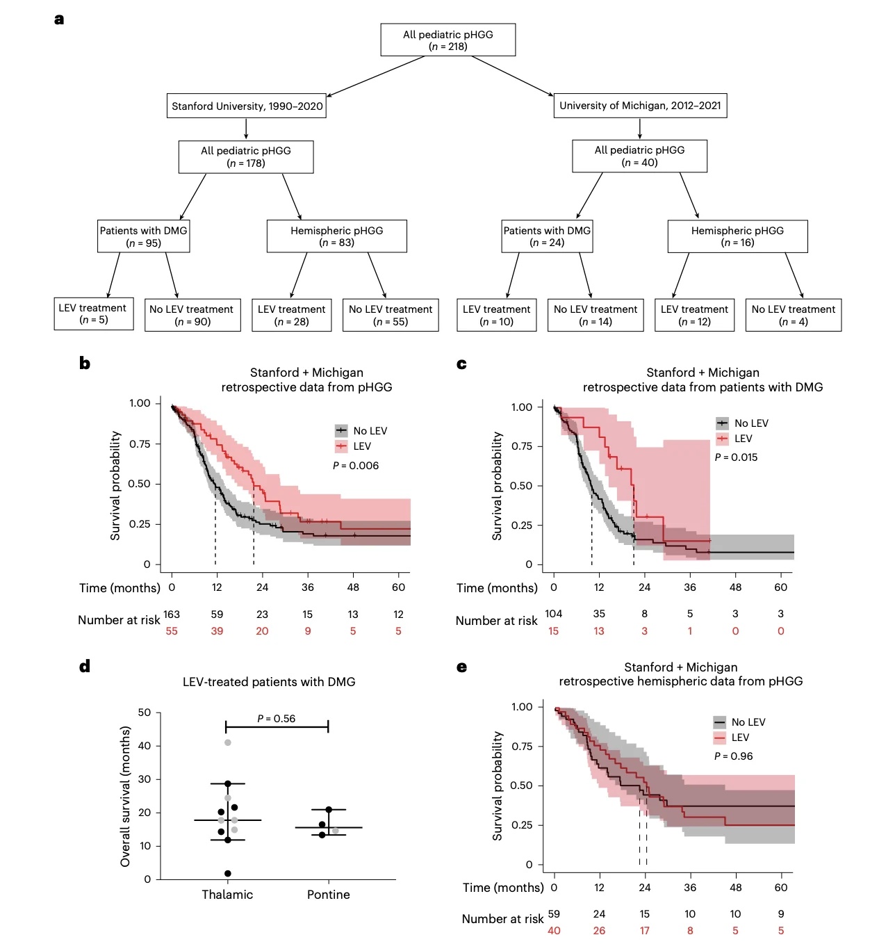 New Paper Alert: Antiseizure Drug Levetiracetam Linked to Longer Survival in Diffuse Midline Glioma