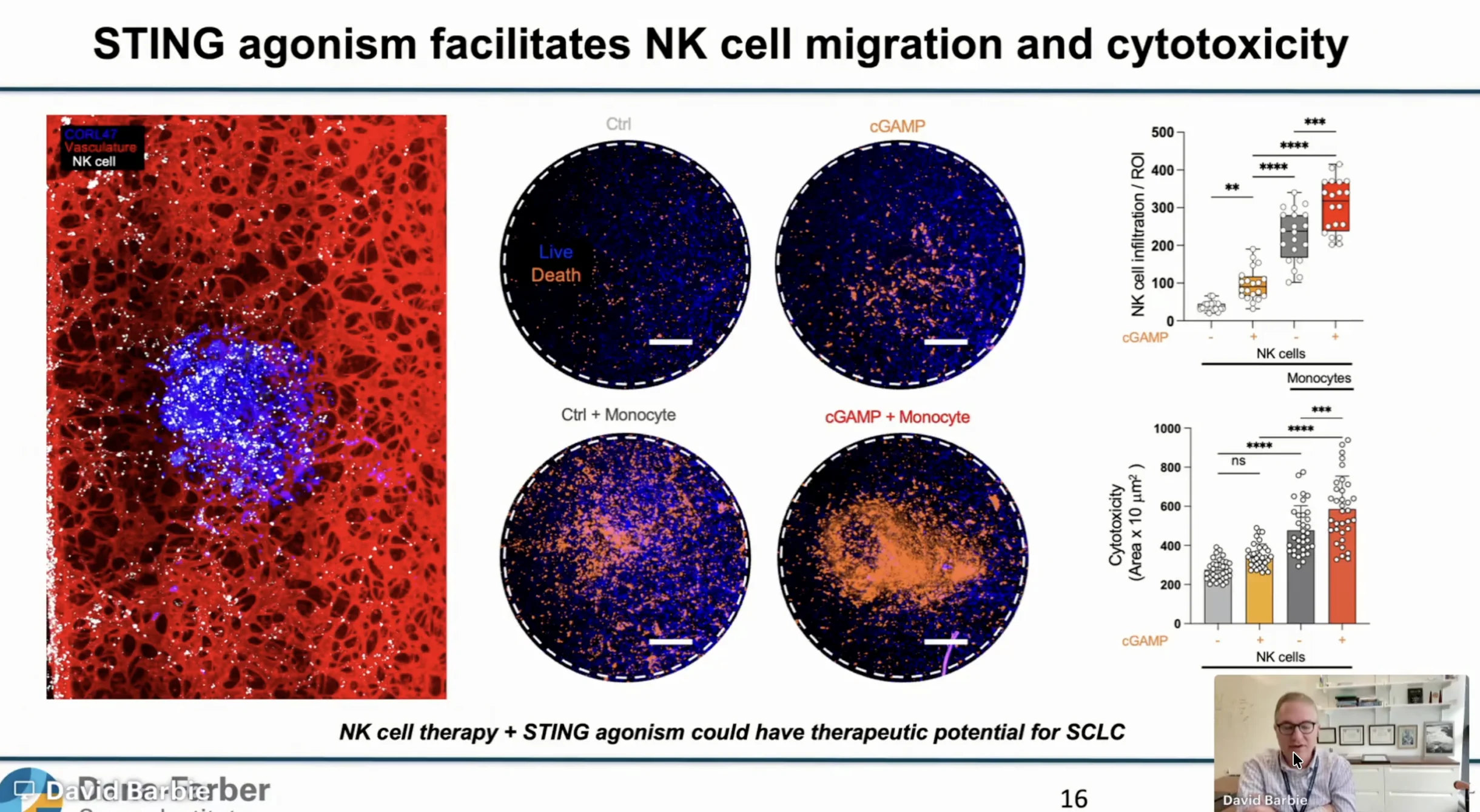 Immuno 2026 Day 2 Highlights: Unraveling the Tumor Microenvironment and New Paths to Overcome Immunotherapy Resistance