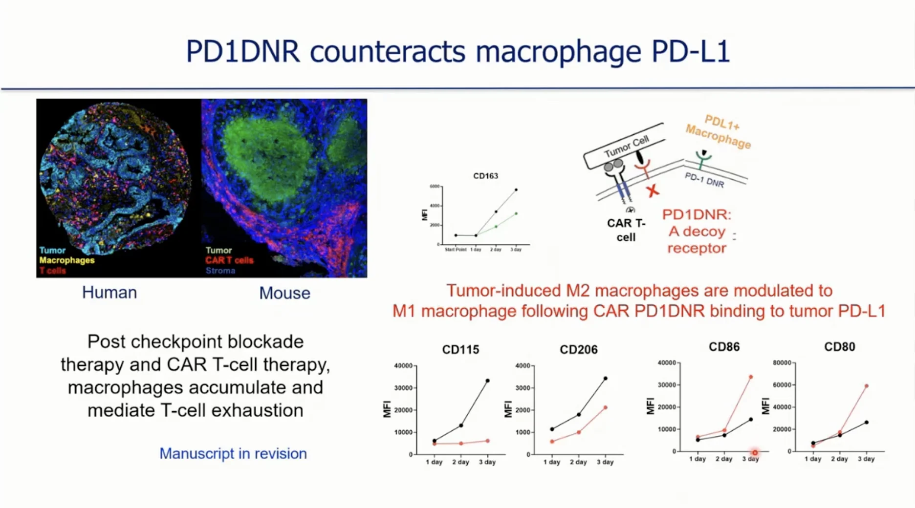 Immuno 2026 Day 5 Highlights: Engineered Cell Therapies, Solid Tumors, and the Future of Pediatric Immunotherapy