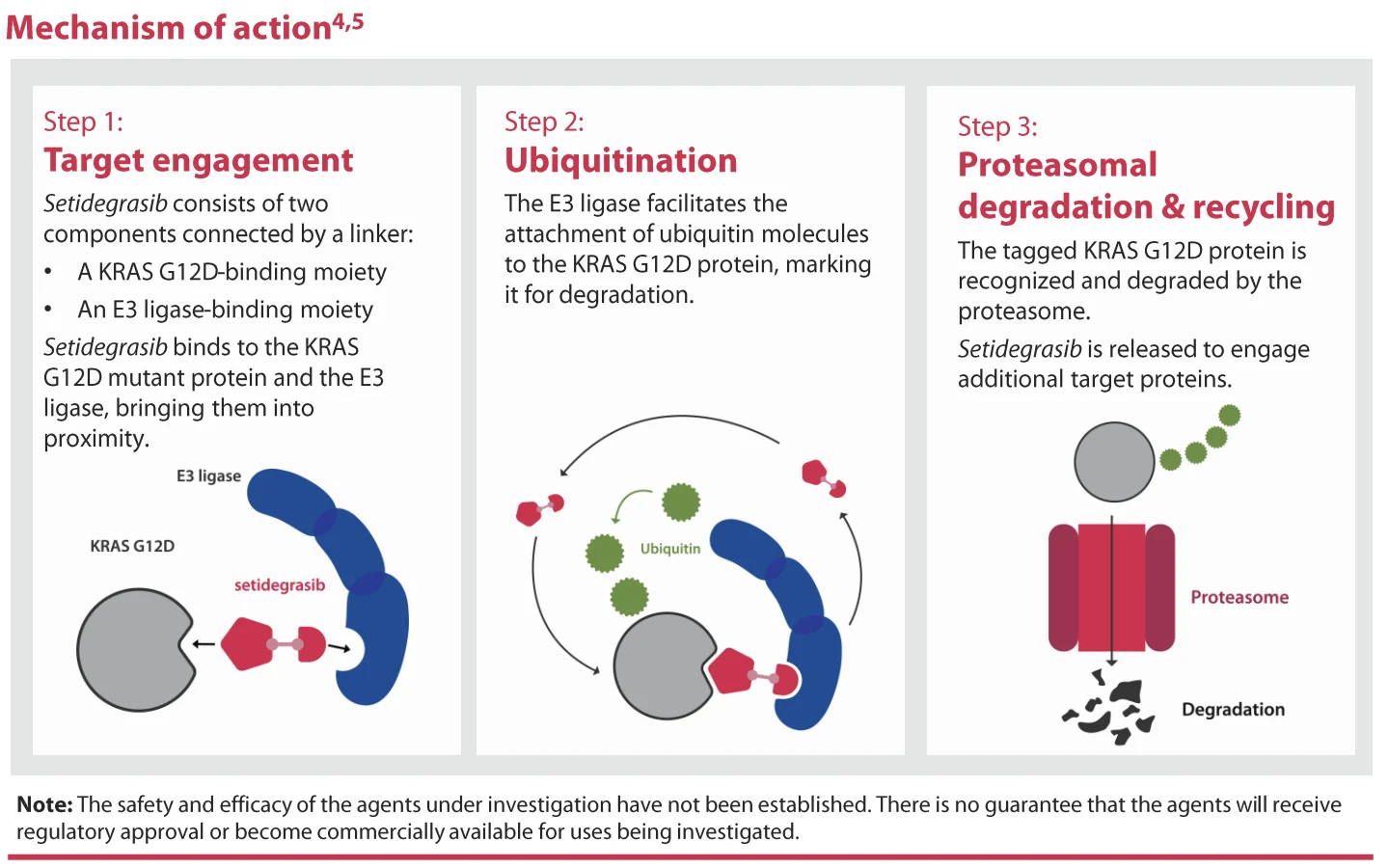 Inside Setidegrasib’s Phase 3 Development: Targeting KRAS G12D Through Protein Degradation