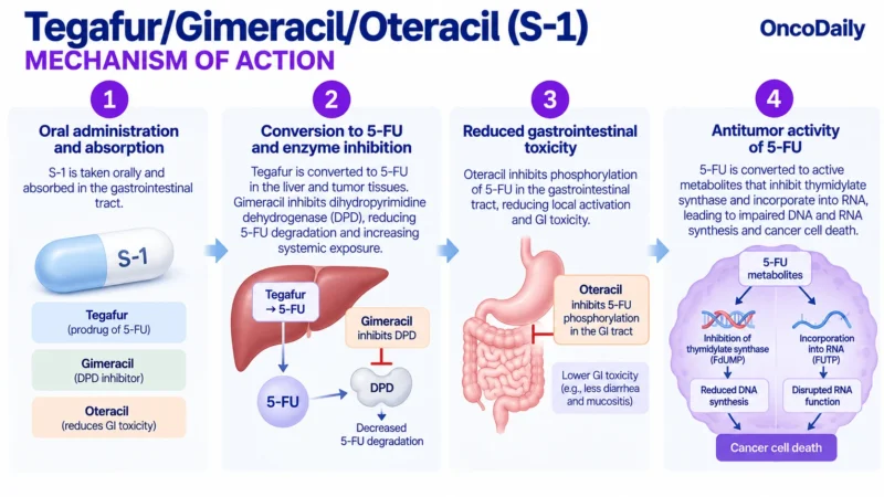 Tegafur/Gimeracil/Oteracil