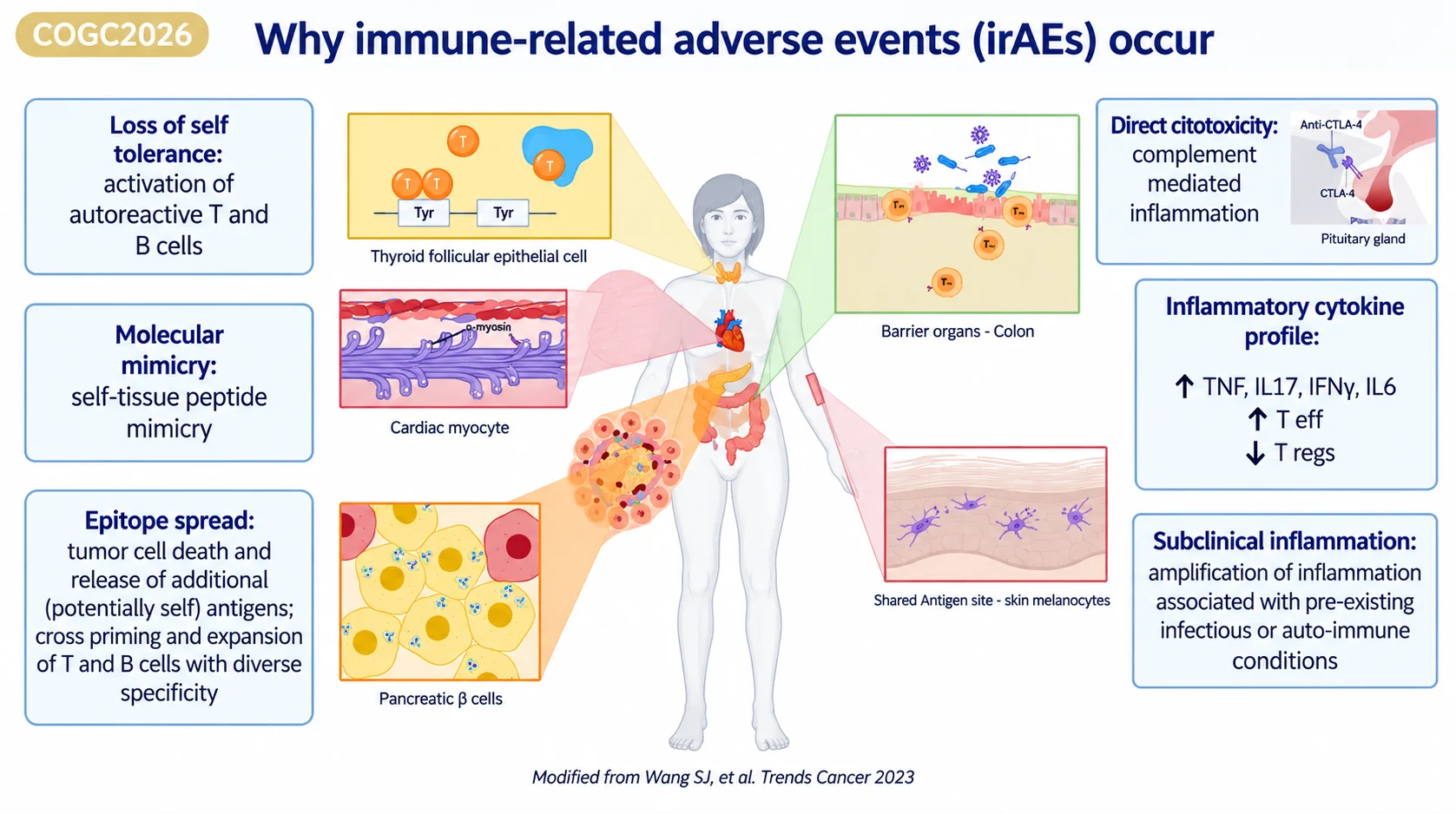 Alice Indini at COGC 2026: When Immune-Related Toxicity Becomes an Emergency 2 Alice Indini