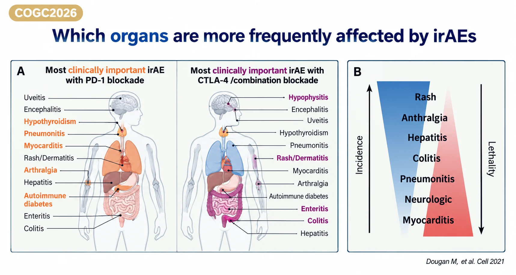 Alice Indini at COGC 2026: When Immune-Related Toxicity Becomes an Emergency 3 Alice Indini