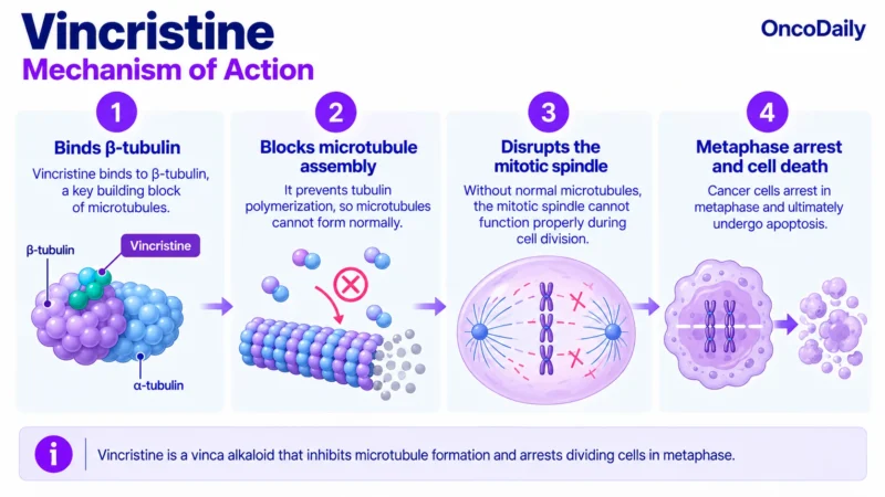 Vincristine OncoDaily