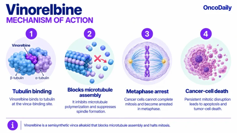 Vinblastine OncoDaily