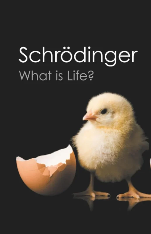 Walid Kamoun