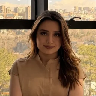 Ani Minasaryan