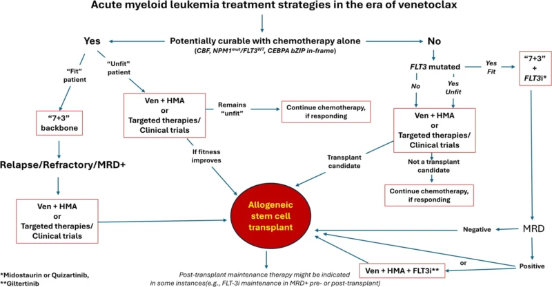 7+3 in Acute Myeloid Leukemia: What Is Changing? 3 7+3 in Acute Myeloid Leukemia: What Is Changing?