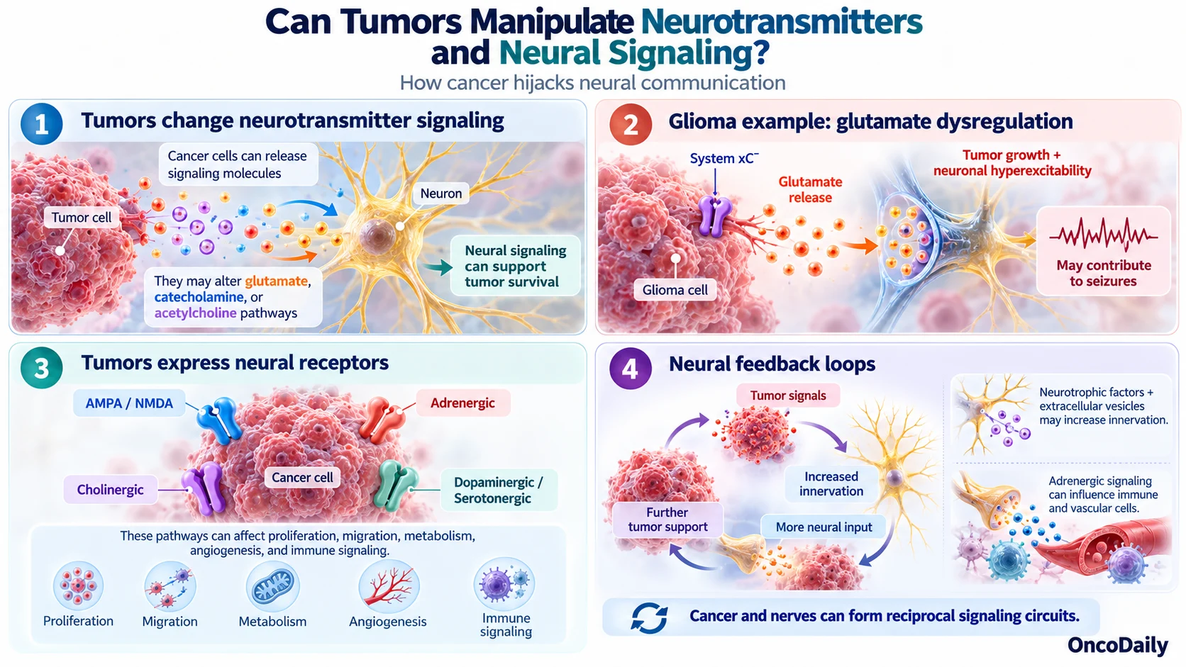 Cancer and the Brain: How Tumors Hijack Neural Signals to Fuel Tumor Growth