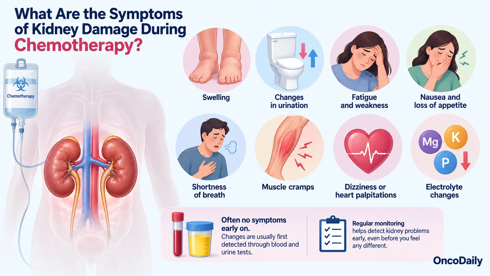 Chemotherapy-Induced Kidney Damage: Symptoms, High-Risk Drugs and Prevention 7 Chemotherapy-Induced Kidney Damage: Symptoms, High-Risk Drugs and Prevention