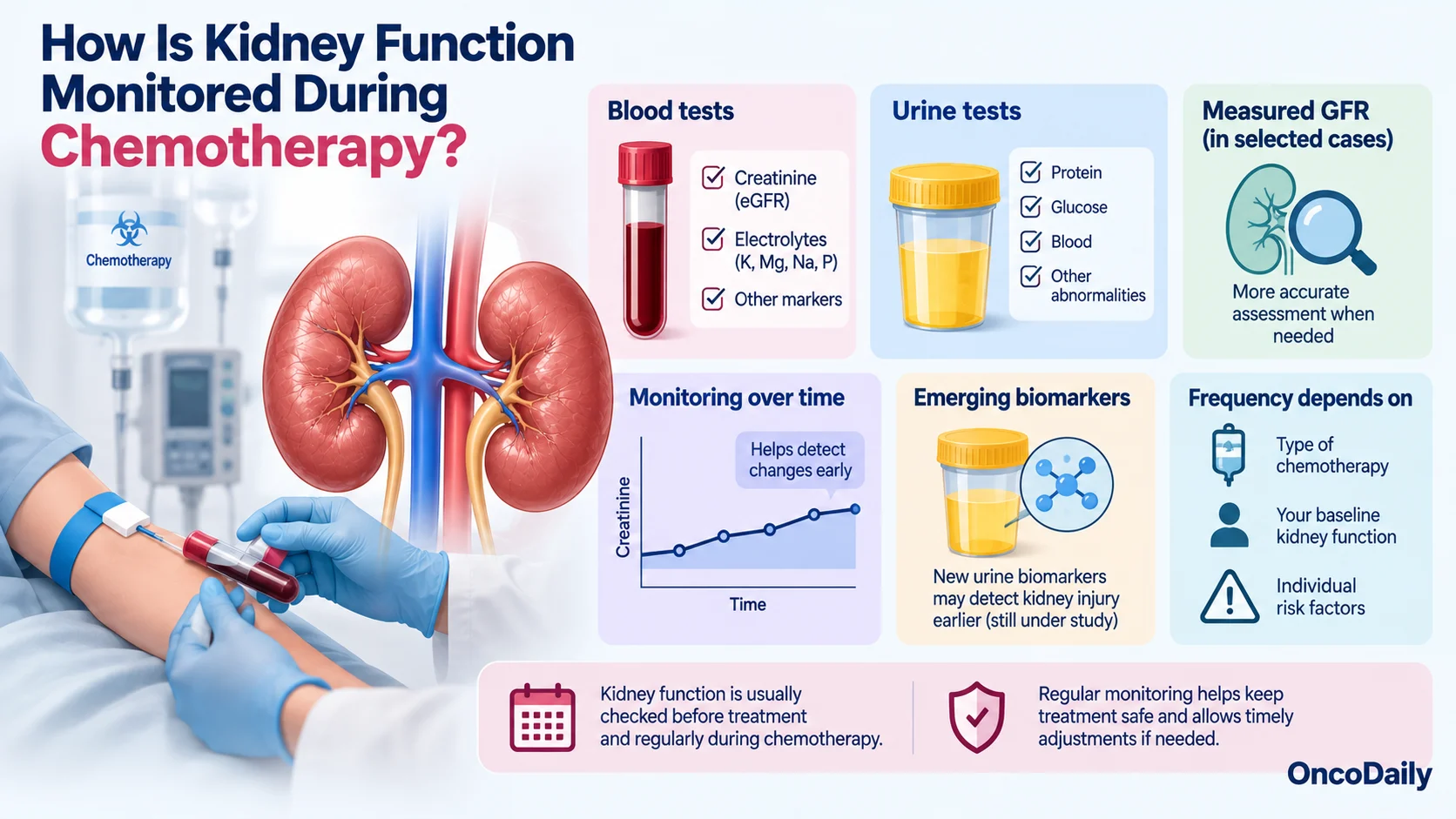 Chemotherapy-Induced Kidney Damage: Symptoms, High-Risk Drugs and Prevention 9 Chemotherapy-Induced Kidney Damage: Symptoms, High-Risk Drugs and Prevention