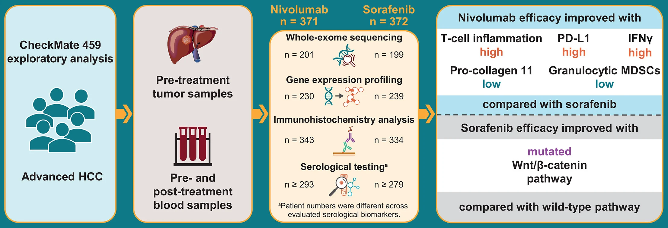 CheckMate 459: Biomarkers of Nivolumab Response in HCC 2 CheckMate 459