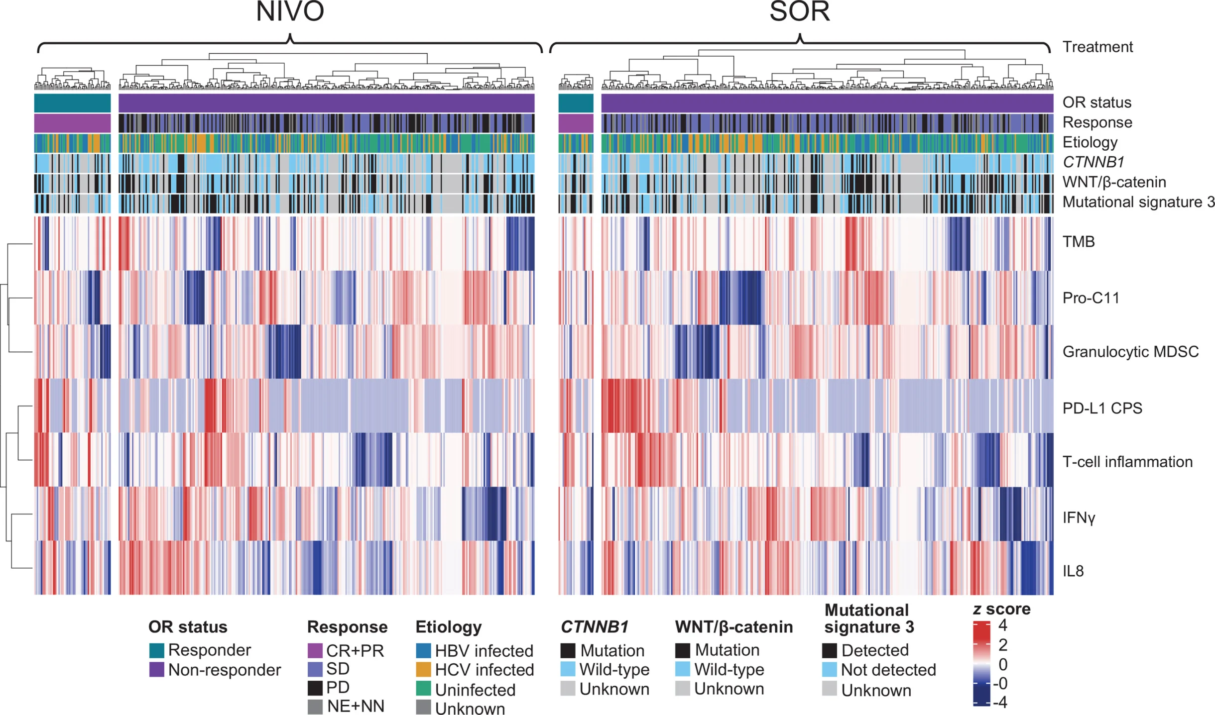 CheckMate 459: Biomarkers of Nivolumab Response in HCC 3 CheckMate 459