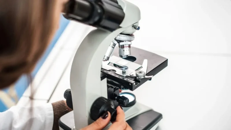 Launching a Venture Philanthropy Program to Accelerate Breast Cancer Innovations – BCRF