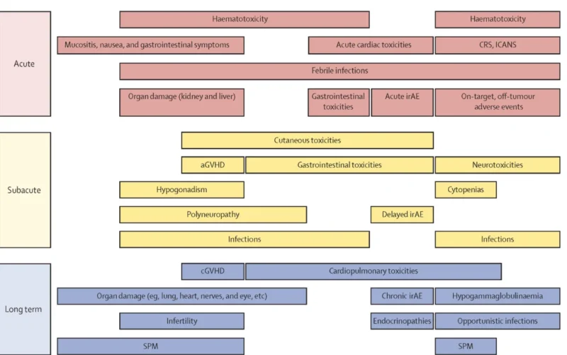 Beyond Maximum Grade: Assessing Tolerability in Modern Hematologic Therapies