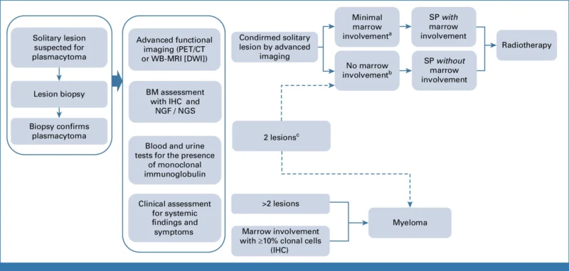 Solitary Plasmacytoma (SP): Updated IMWG Recommendations for Diagnosis, Treatment, and Follow-Up