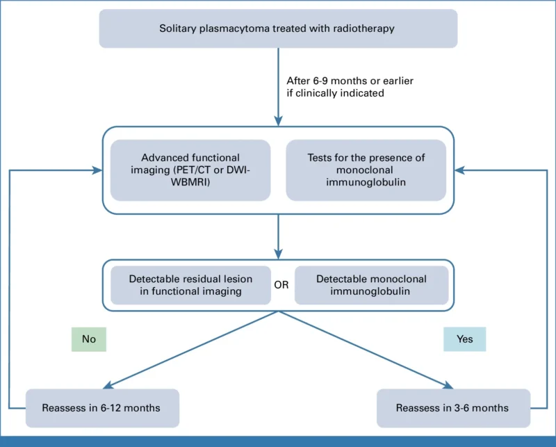 Solitary Plasmacytoma (SP): Updated IMWG Recommendations for Diagnosis, Treatment, and Follow-Up