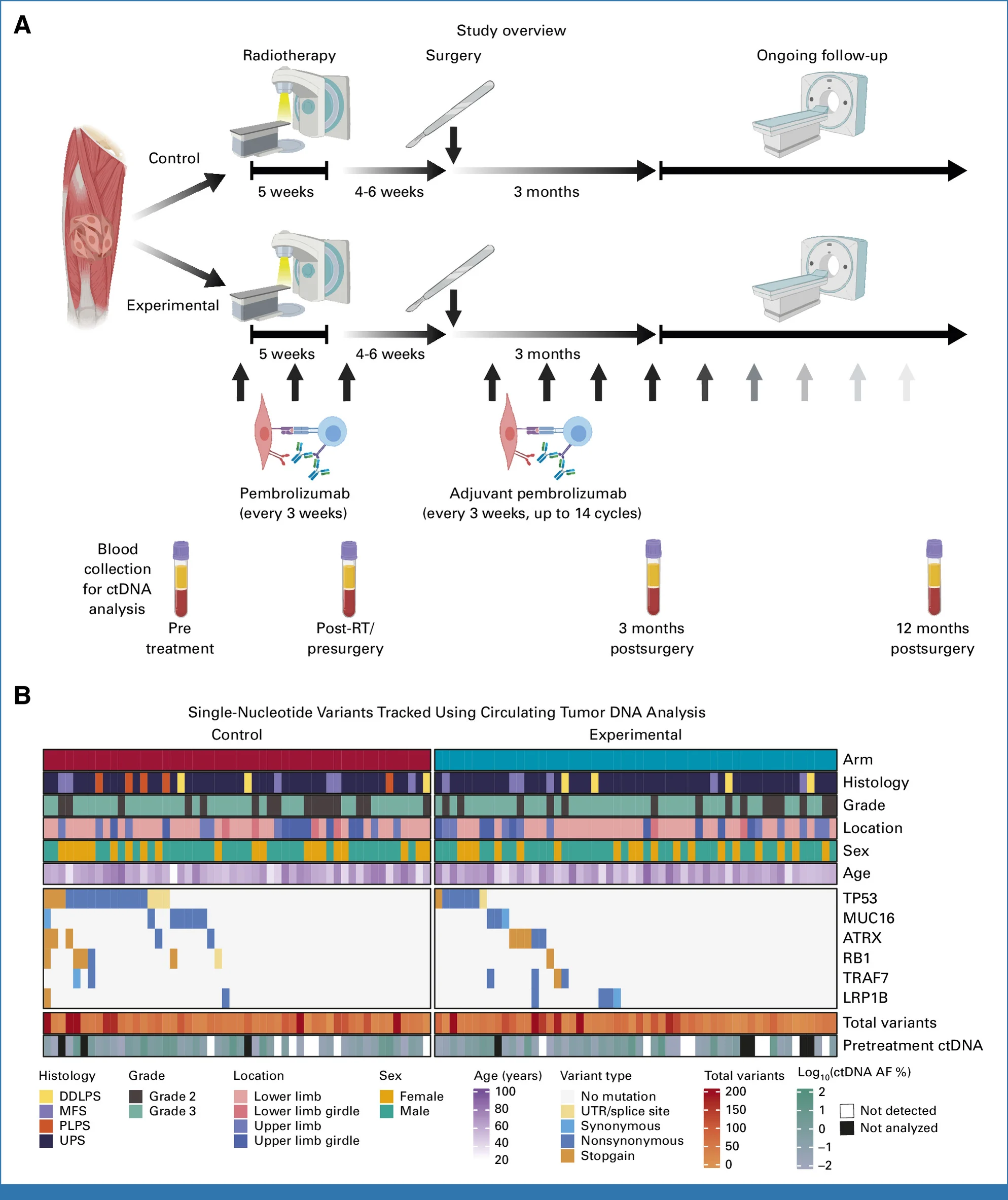 SU2C-SARC032: Can ctDNA Predict Outcomes After Radiotherapy and Pembrolizumab in Soft Tissue Sarcoma?