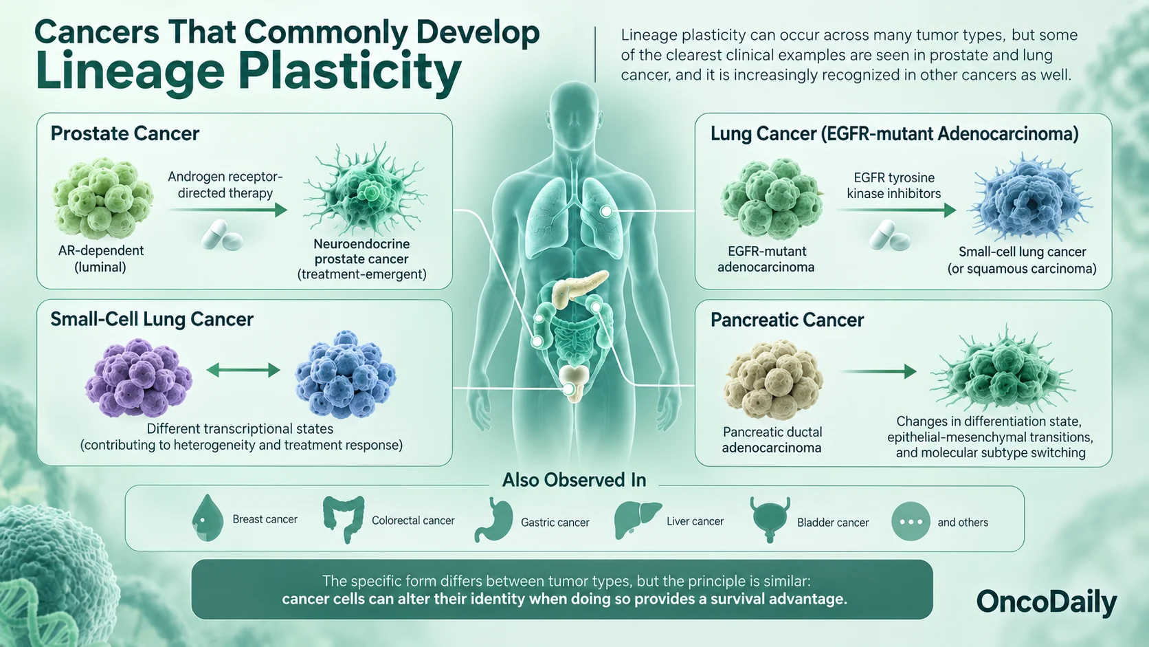 Lineage Plasticity in Cancer: How Tumors Change Identity and Resist Therapy 7 Lineage Plasticity in Cancer: How Tumors Change Identity and Resist Therapy