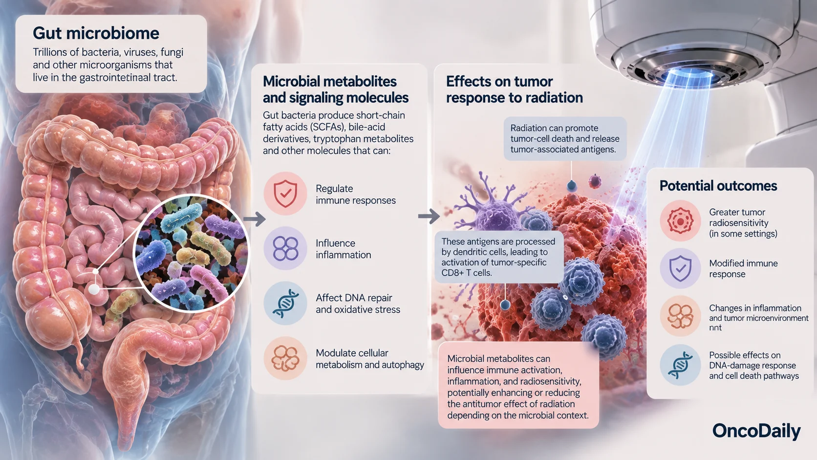 Can the Microbiome Change How Cancer Responds to Radiation Therapy? 3 Can the Microbiome Change How Cancer Responds to Radiation Therapy?