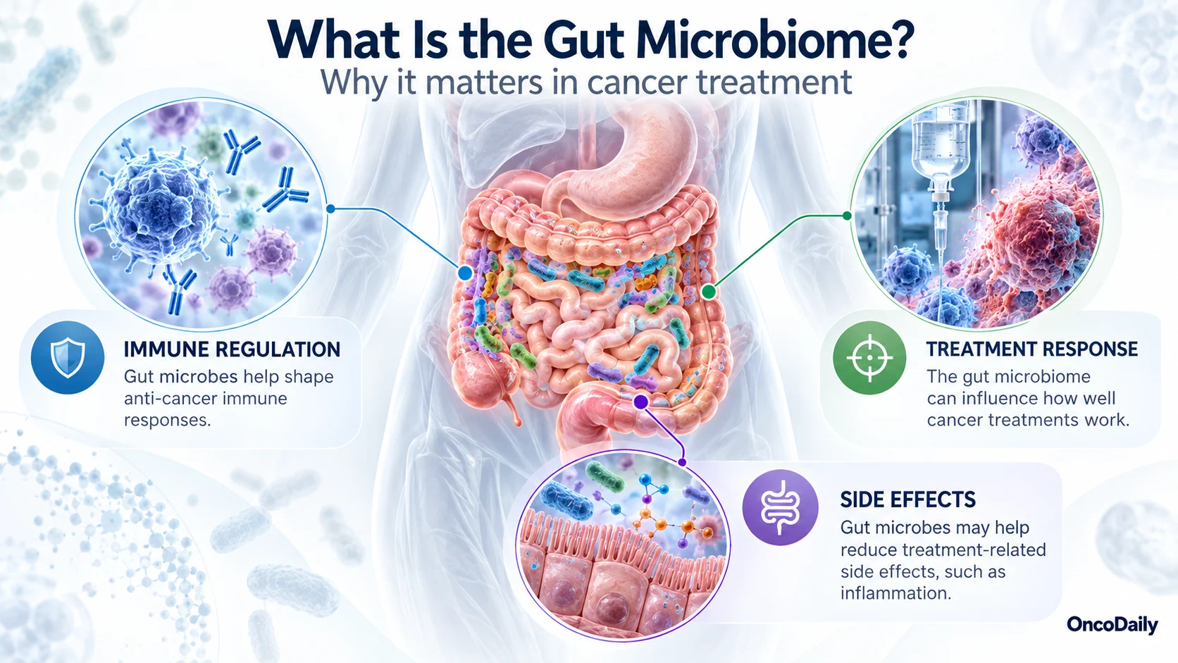 Can the Microbiome Change How Cancer Responds to Radiation Therapy? 2 Can the Microbiome Change How Cancer Responds to Radiation Therapy?