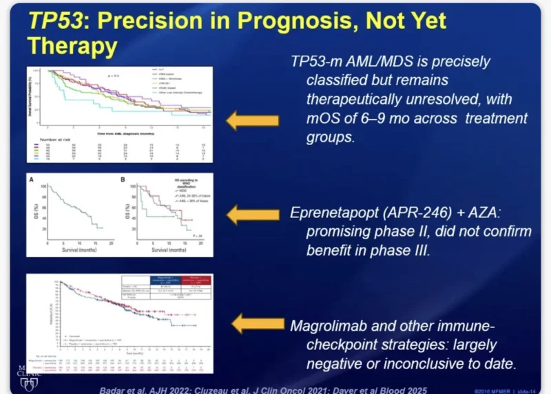 Talha Badar: Precision Medicine in Myeloid Neoplasms - Are We There Yet? 8 Talha Badar: Precision Medicine in Myeloid Neoplasms - Are We There Yet?