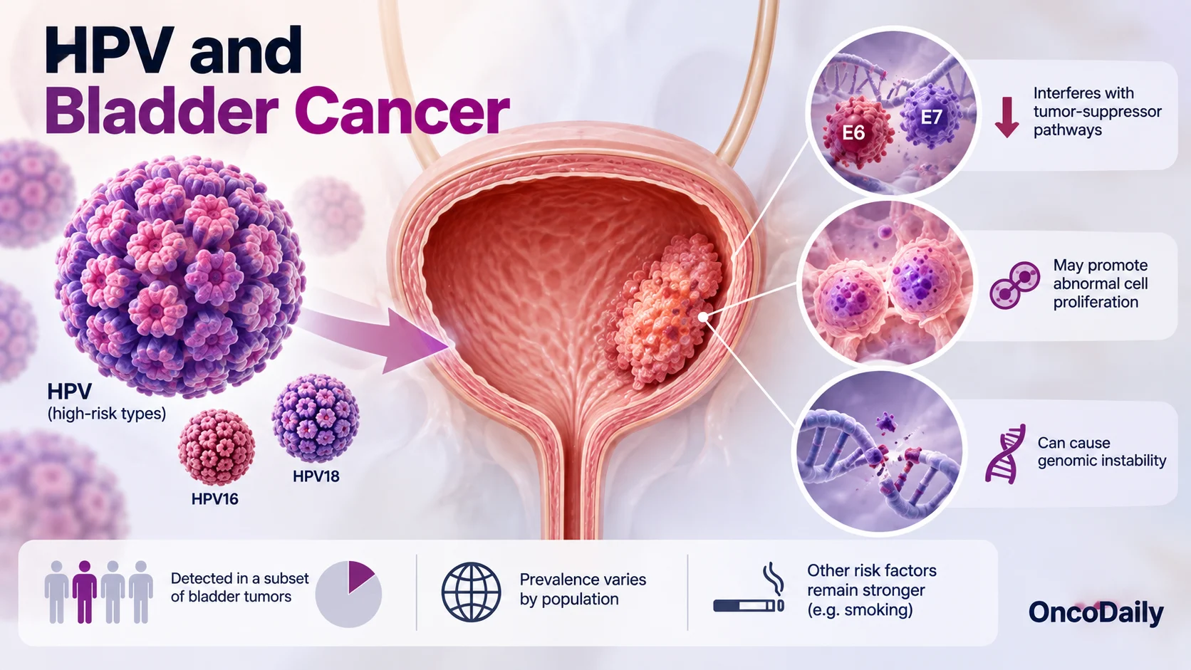 The Viral Side of Bladder Cancer: BK Polyomavirus, HPV, and Urothelial Carcinoma