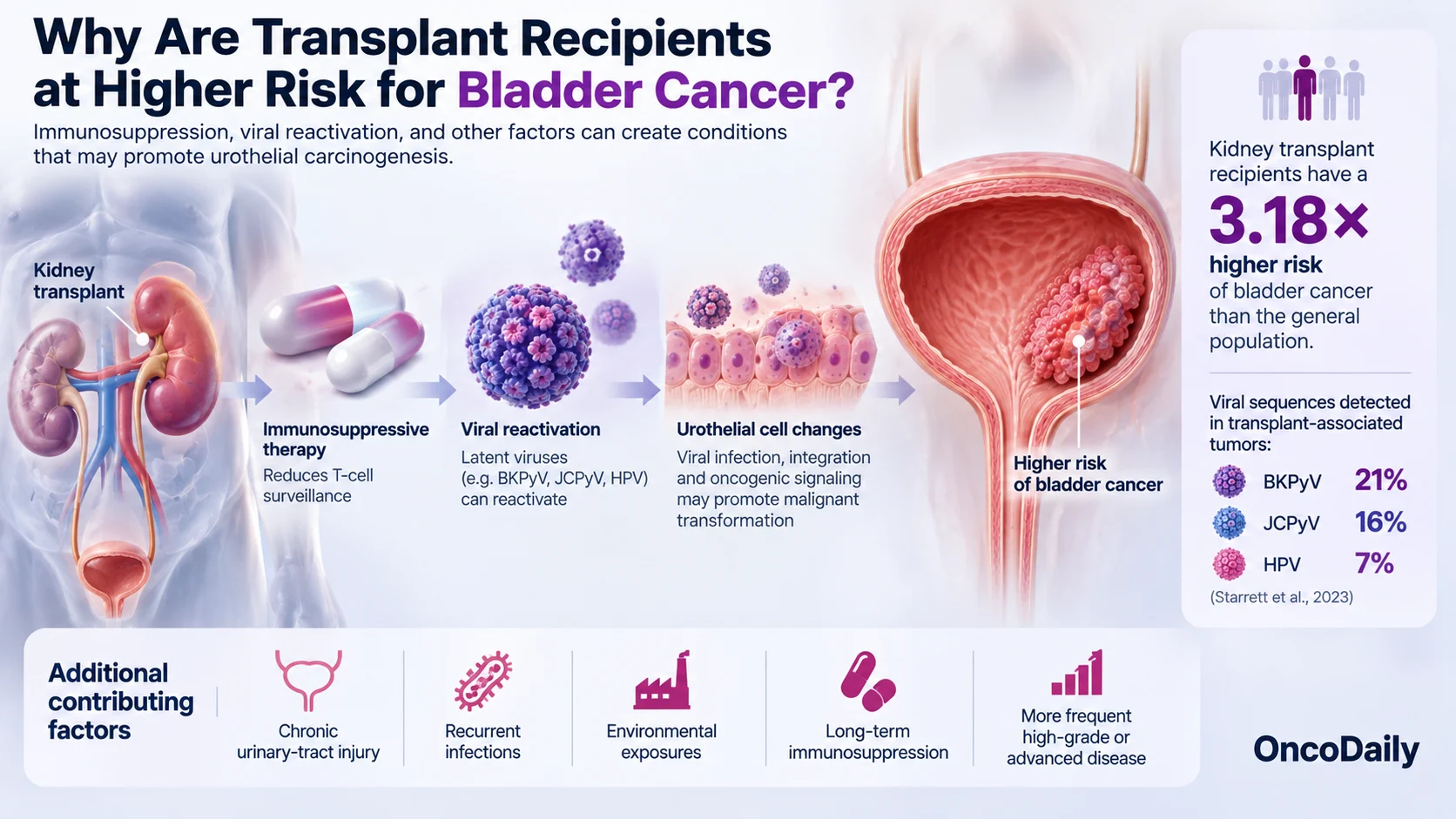 The Viral Side of Bladder Cancer: BK Polyomavirus, HPV, and Urothelial Carcinoma